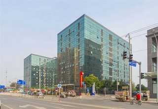 上海海藻精施肥