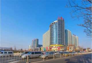 辽宁600型全自动高精度数控横剪机厂家