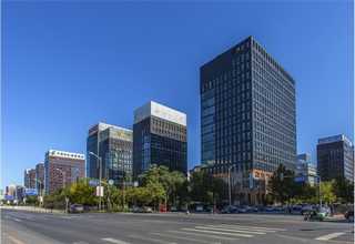 Sphingomonas abaci菌株